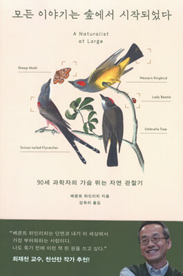 모든 이야기...
