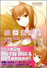 �ɪ�������(13)Side colors 3