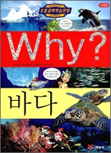 Why? ���� �ٴ�