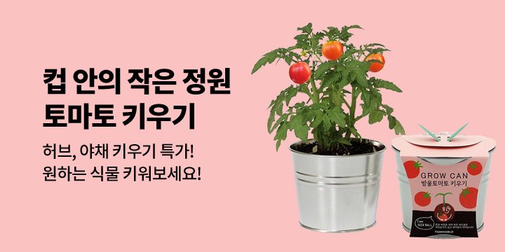 [브랜드세일] 틔움세상 나만의 작은 정원 키우기