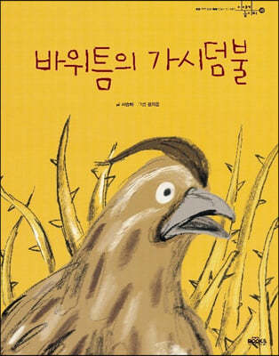 바위틈의 가시덤불 