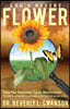 God's Desert Flower