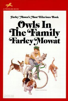 Owls in the Family