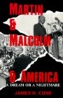 Martin &amp; Malcolm &amp; America