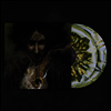 Akhlys - The Dreaming I (Coloured 2LP)