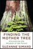 Finding the Mother Tree