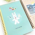 안녕 큐티토깽이 초음파앨범(임신다이어리)