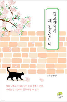 길고양이에 꽤 진심입니다