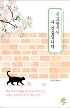 길고양이에 꽤 진심입니다