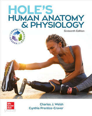 ISE Hole&#39;s Human Anatomy &amp; Physiology, 16/e