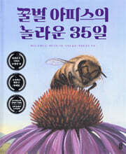 꿀벌 아피스의 놀라운 35일