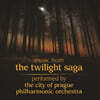 트와일라잇 영화음악 (Music From The Twilight Saga by Carter Burwell) [2LP]
