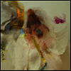 Flock Of Dimes - Head Of Roses (LP)