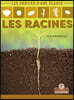 Les Racines (Roots)