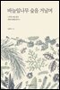 바늘잎나무 숲을 거닐며