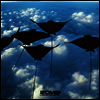 Zombi - Liquid Crystal (Blue LP)