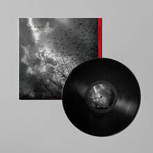 조동익 - 1집 동경 憧憬 [LP]