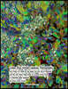 Green Blue Winter Jasmine Photography Art Prints in a Book