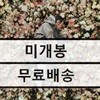 코드 쿤스트 (Code Kunst) - 4집 PEOPLE [옐로우 & 핑크 컬러 2LP]