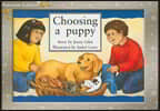 Rigby PM Platinum Collection: Individual Student Edition Yellow (Levels 6-8) Choosing a Puppy