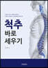 척추 바로 세우기