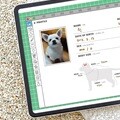 리훈 내가잘할개 애견 반려견 위클리 다이어리 굿노트 아이패드 PDF 속지