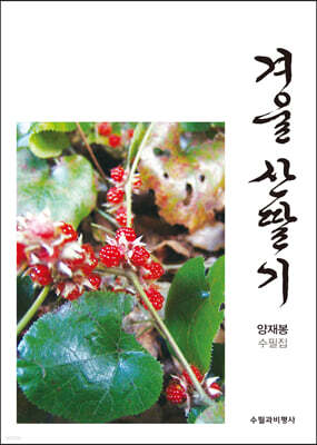 겨울 산딸기