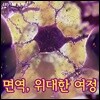 면역, 위대한 여정
