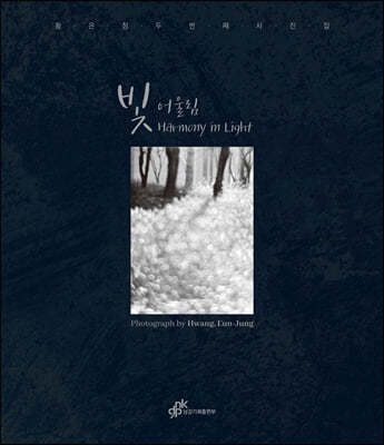 빛 어울림 Harmony in Light