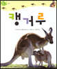 캥거루