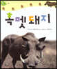 흑멧돼지