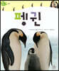 펭귄