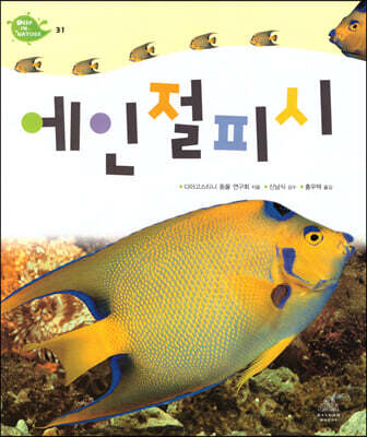 에인절피시
