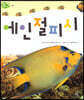 에인절피시