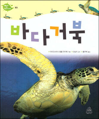 바다거북