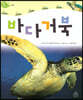 바다거북