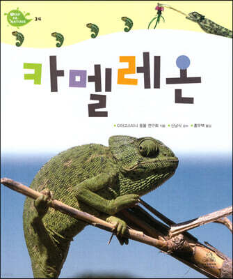 카멜레온