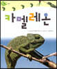카멜레온