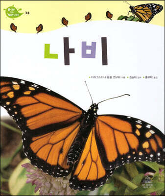 나비