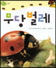 무당벌레
