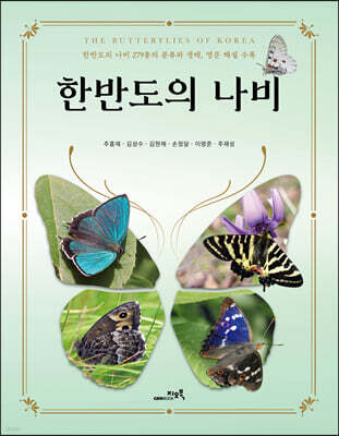 한반도의 나비