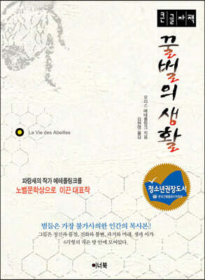 꿀벌의 생활 (큰글자책)