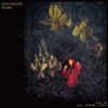 Julia Holter (줄리아 홀터) - 5집 Aviary [2LP]