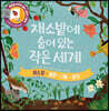 채소밭에 숨어있는 작은 세계