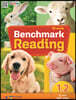 Benchmark Reading 1.2