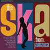 자메이카의 스카 음악 (The Ska From Jamaica)
