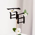 전통 백일 픽 (한자)