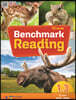 Benchmark Reading 1.3