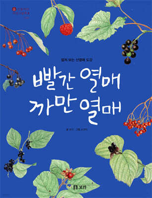 빨간 열매 까만 열매