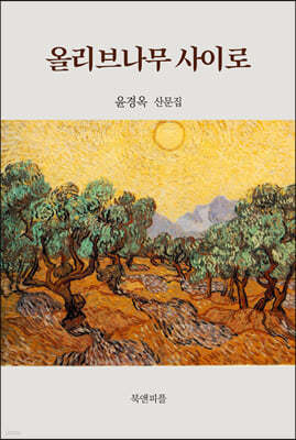 올리브나무 사이로